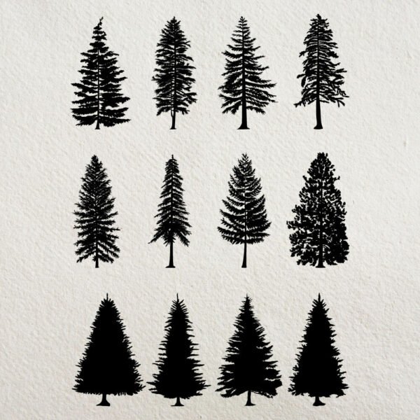 Vector silhouette Trees by Two Door Studio