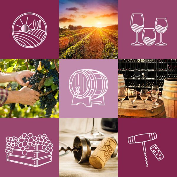 Winery and Vineyard Line Icon Set by Two Door Studio Boxes